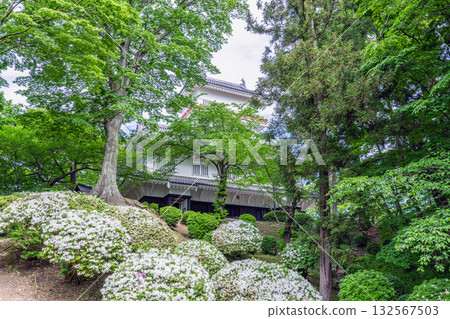 秋田縣秋田市、泉州公園、久保田城大隅櫓 132567503