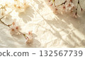 Cherry blossom shadows and spring light floating on a washi paper wall 132567739