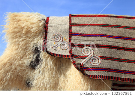 Handmade bags for storing bread and sheepskins against the sky.  Turkmenistan. Ashkhabad market. 132567891