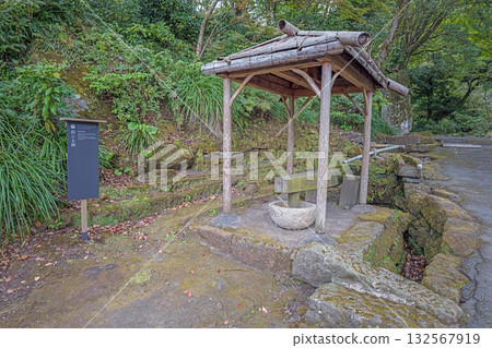 Kagoshima Sengan-en Garden Sako Taro Kagoshima Sengan-en Garden Sako Taro 132567919