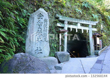 鎌倉錢洗弁財天宇賀福神社 鎌倉錢洗弁財天宇賀福神社 132568144