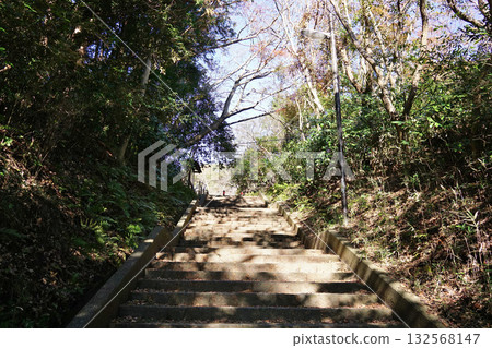 Genji san park 132568147
