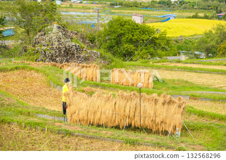 A realistic scarecrow, a stone Buddha statue made of Meishi stone, and rice-racking displays [Obasute Rice Terraces] 132568296