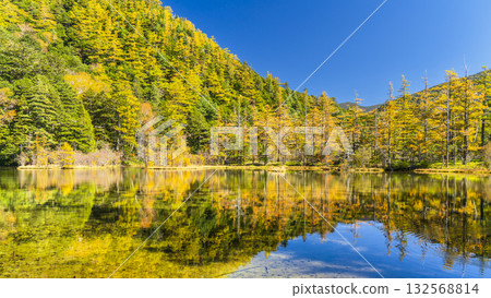 上高地明神池的秋景壯麗：秋葉倒映在藍天之上 [長野縣松本市] 132568814