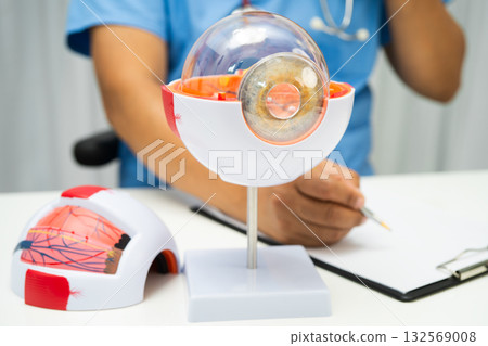 Asian doctor with eye human anatomy model for study diagnosis and treatment in hospital. Asian doctor with eye human anatomy model for study diagnosis and treatment in hospital. 132569008