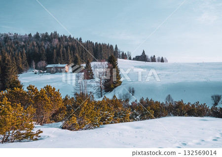 In the Jizerka village, a cozy cottage sits surrounded by snow-covered hills and evergreen trees. The morning sun casts a warm glow on the pristine winter landscape. 132569014