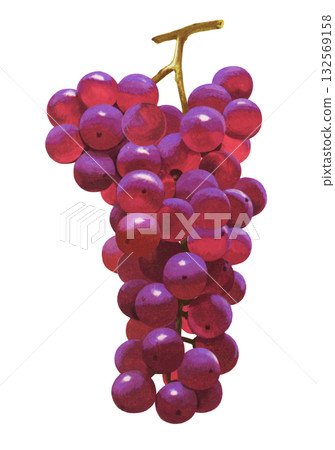 葡萄的例證 132569158