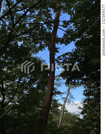 Kanjoji Park Campground (mid-October) *Nanto City, Toyama Prefecture Kanjoji Park Campground (mid-October) *Nanto City, Toyama Prefecture 132569377