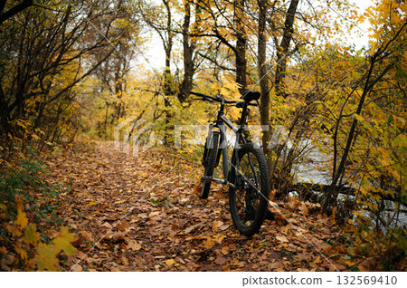 Mountain bike on autumn forest trail 132569410