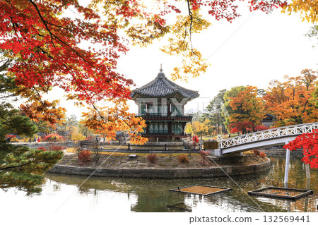 Korean palace in autumn Korean palace in autumn 132569441