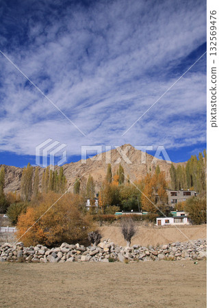 Chhamkang Ri, peak in Leh and trees in autumn, India. 132569476