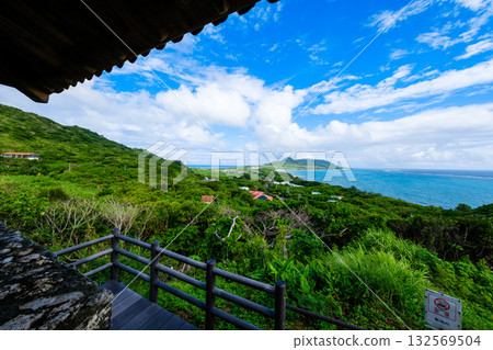 石垣島上的熱帶景觀 132569504