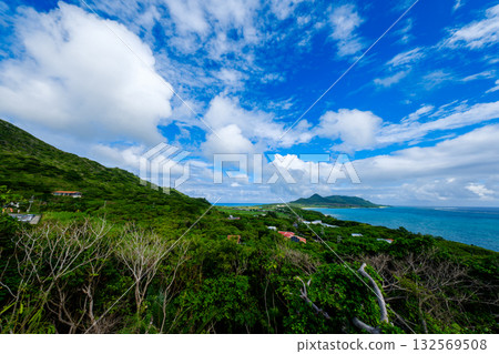 石垣島上的熱帶景觀 132569508