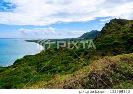 石垣島上的熱帶景觀 132569530