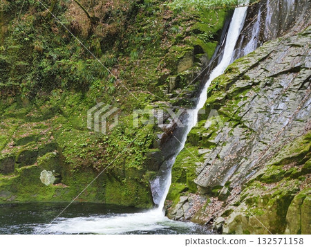 Akame 48 Waterfalls, Fudo Falls: Clear streams slithering down mossy rocks (Nabari City, Mie Prefecture) 2 Akame 48 Waterfalls, Fudo Falls: Clear streams slithering down mossy rocks (Nabari City, Mie Prefecture) 2 132571158