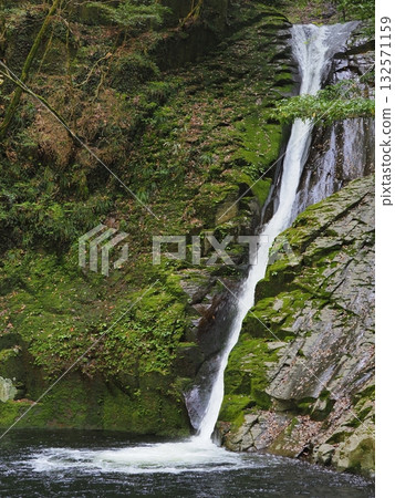 赤目48瀑布，不動瀑布：清澈的溪流從長滿青苔的岩石上蜿蜒而下（三重縣名張市） 132571159