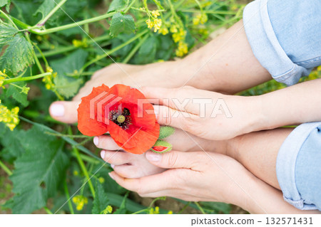 Female hands gently holding a vibrant red poppy flower over a child's barefoot, symbolizing a connection with nature, tenderness, and maternal care amidst green foliage 132571431