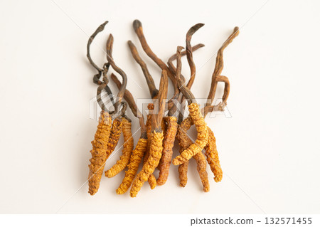 Cordyceps sinensis or Ophiocordyceps sinensis isolated on white background, mushroom herb treatment medicine. Cordyceps sinensis or Ophiocordyceps sinensis isolated on white background, mushroom herb treatment medicine. 132571455
