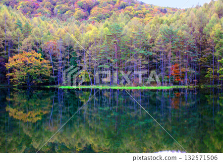 Fall pond of autumn 132571506