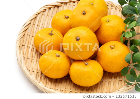 Sweet and delicious early-ripening mandarins from Wakayama Prefecture 132571533