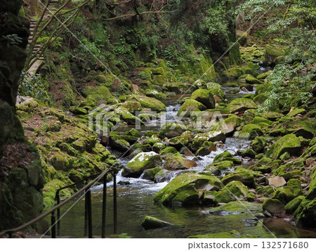 A view of pure water flowing through a mossy valley A view of pure water flowing through a mossy valley 132571680