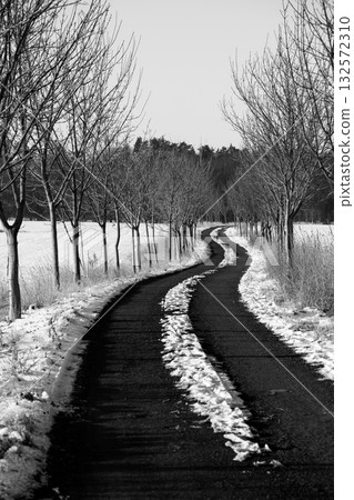 A winding road stretches into the distance, bordered by trees stripped of leaves. Soft snow lies on the ground, contrasting with the dark asphalt, capturing a serene winter scene. A winding road stretches into the distance, bordered by trees stripped of leaves. Soft snow lies on the ground, contrasting with the dark asphalt, capturing a serene winter scene. 132572310
