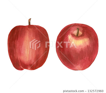Watercolor illustration set, red autumn apples hand-painted with watercolor and isolated on white background. Watercolor illustration is perfect for printing on packaging, postcards, fabric. 132572960
