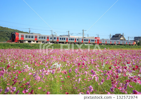 宇宙田和813系列車(JR九州) 宇宙田和813系列車(JR九州) 132572974