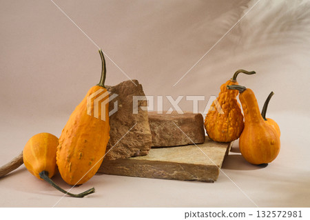 Autumn empty podium with decorative pumpkins Autumn empty podium with decorative pumpkins 132572981
