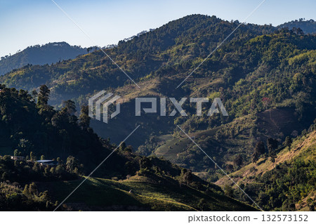 Mountain Serenity, Gentle sunlight paints mountain slopes covered in lush green forest. A tranquil view of untouched nature at Chiang Rai Province, Thailand. 132573152