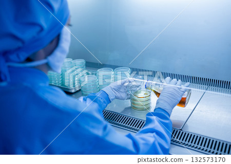 Gloved technician prepares culture media, pouring agar into Petri dishes under a biosafety cabinet for microbiology research Gloved technician prepares culture media, pouring agar into Petri dishes under a biosafety cabinet for microbiology research 132573170