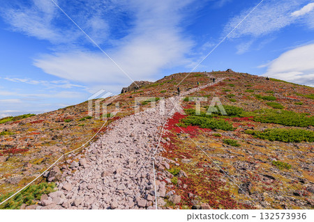 daisetsuzan, kurodake, maple 132573936