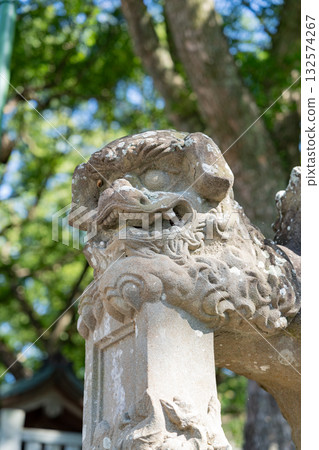 Komainu of Oasahiko Shrine 132574267