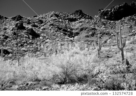 Monochrome Sonoran Desert Arizona Picacho Peak State Park Monochrome Sonoran Desert Arizona Picacho Peak State Park 132574728