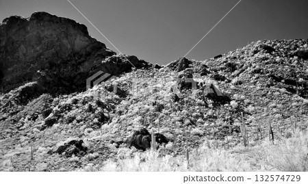 Monochrome Sonoran Desert Arizona Picacho Peak State Park 132574729