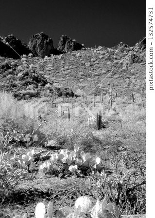 Monochrome Sonoran Desert Arizona Picacho Peak State Park 132574731