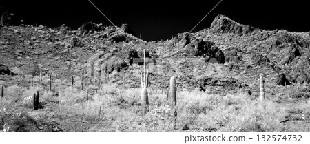 Monochrome Sonoran Desert Arizona Picacho Peak State Park 132574732