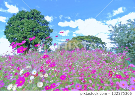 秋季宇宙 132575306