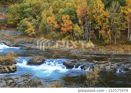 Toyohira River in autumn 132575479