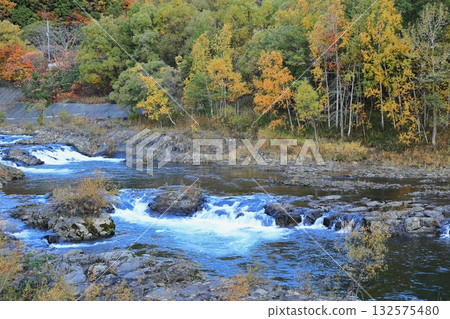 秋季的豐平川 132575480