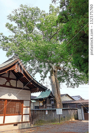 Nonomiya Shrine (Sasabe, Matsumoto City) Nonomiya Shrine (Sasabe, Matsumoto City) 132575760