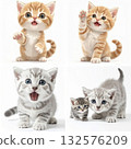 可愛的小貓咪 4 132576209