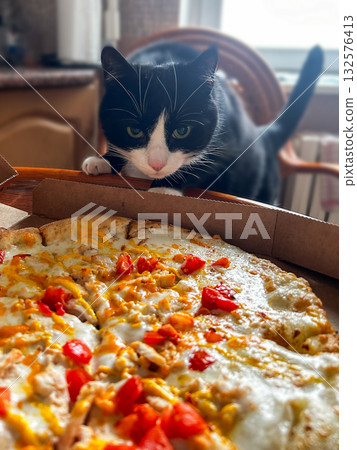 Curious cat investigating freshly delivered pizza. Inquisitive tuxedo cat sniffs steaming pizza just delivered home. Feline curiosity about human food. 132576413