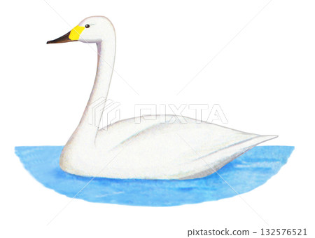 漂浮在水面上的天鵝 132576521