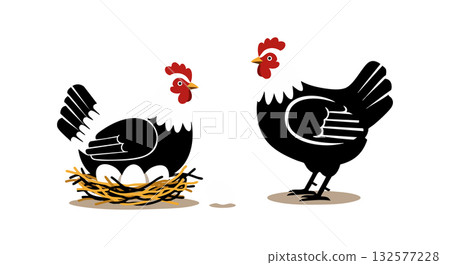 Black and white hens with eggs in nest vector illustration for farm animals and nature design 132577228