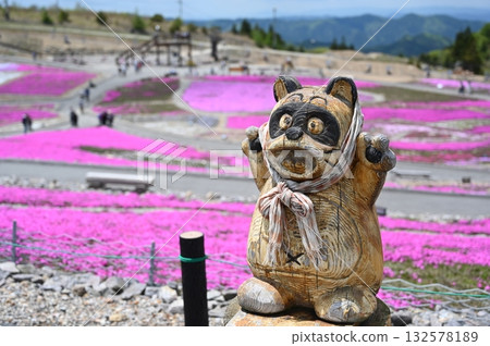 Shibazakura Hill and Raccoon Figurine Shibazakura Hill and Raccoon Figurine 132578189