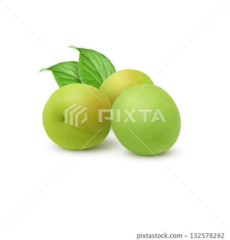 逼真的李子插圖 132578292