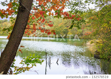 Goshikinuma Lakes and Marshes: Autumn Foliage at its Best Goshikinuma Lakes and Marshes: Autumn Foliage at its Best 132578519