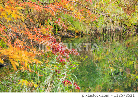 五色沼湖與沼澤：秋葉美景盡收眼底 132578521