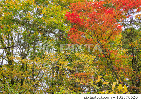 Goshikinuma Lakes and Marshes: Autumn Foliage at its Best Goshikinuma Lakes and Marshes: Autumn Foliage at its Best 132578526